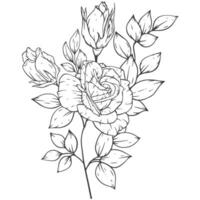 outline flower bouqet arrangement decoration vector