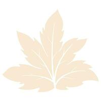 organic autumn leaf outline decoration vector