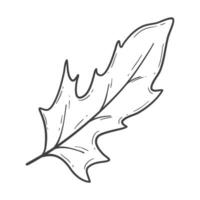 organic autumn leaf outline decoration vector