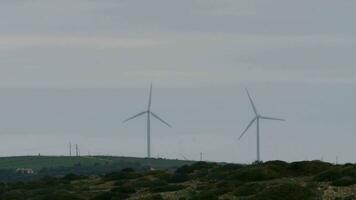 molinos de viento en el campo video