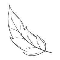 organic autumn leaf outline decoration vector