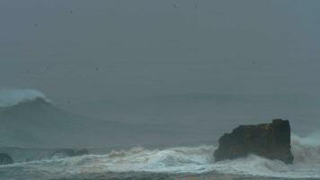 Big waves, seagulls and rock in Atlantic ocean video