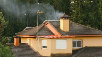 Smoking chimney of the house in the pine woods video