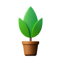 plante 3d icône illustration png