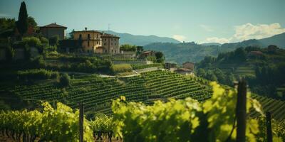 Generative AI, beautiful Italian vineyard, green landscape. Rows of vines on sunset photo