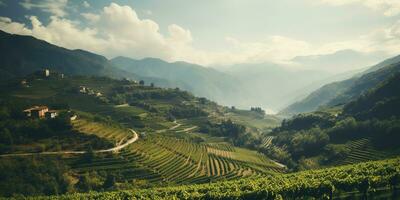 generativo ai, hermosa italiano viñedo, verde paisaje. filas de vides en puesta de sol foto