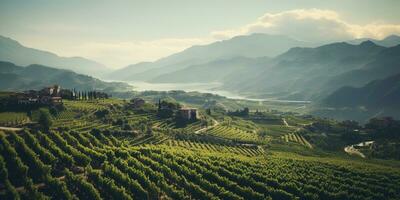 generativo ai, hermosa italiano viñedo, verde paisaje. filas de vides en puesta de sol foto