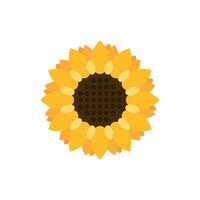 Sunflower icon in flat style. Flora vector illustration on isolated background. Sunflower sign business concept.