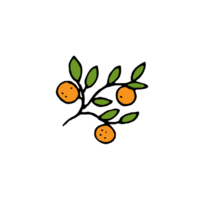 laranja, saudável, fresco fruta png