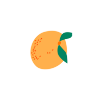 laranja, saudável, fresco fruta png