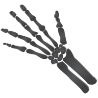 Illustration of skeleton hand. png