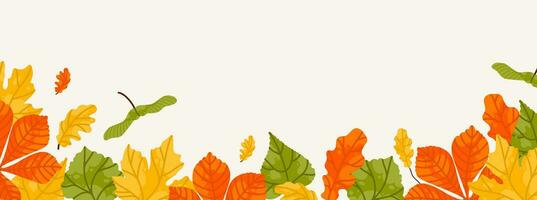 Autumn seasonal background with long horizontal border made of falling autumn leaves, yellow, red, orange and green color isolated on background. Hello autumn vector illustration