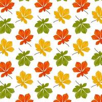 Pattern from autumn leaves. Falling leaf seamless background with chestnut foliage in cartoon style. Autumn mood forest print for textile or wrapping paper. vector