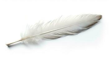 Bird feather on white background. Beautiful bird plumage or wing element, isolated smooth feather. Generated AI. photo