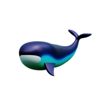 whale 3d rendering icon illustration png