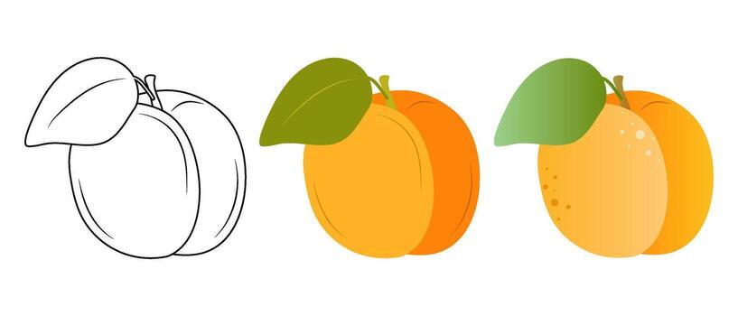 Set of vector illustrations of apricot in flat, doodle and 3D styles on a white background.