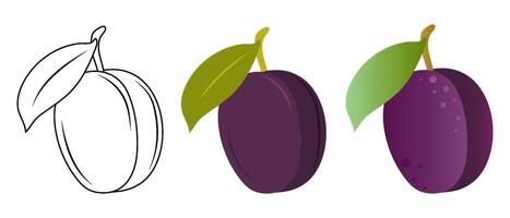 Set of vector illustrations of plum in flat, doodle and 3D styles on a white background.