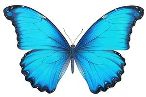 mariposa con vistoso alas aislado en blanco. generativo ai. foto