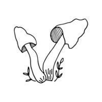 Mushrooms of wildlife, spore organism. Mycology. Mystical mushrooms. Doodle. Hand drawn. Vector illustration. Ou