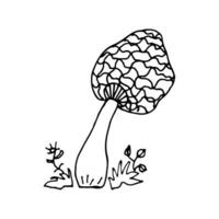 Mushrooms of wildlife, spore organism. Mycology. Mystical mushrooms. Doodle. Hand drawn. Vector illustration. Outline.