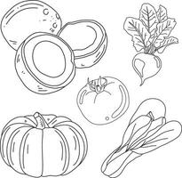 vegetales mano dibujado diseño para colorante libro vector