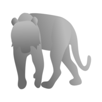 Tiger PNG file