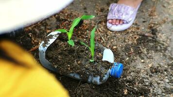 pequeño niña y mamá crecer plantas en ollas desde reciclado agua botellas en el patio interior. reciclar agua botella maceta, jardinería ocupaciones para niños. reciclaje de el plastico residuos video