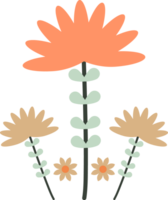 natural floral enfeite png