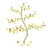 Minimalist flat autumn tree with yellow and red little leaves on white background. Organic forest concept. Vector simple illustration.