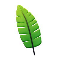 palm leaf 3d rendering icon illustration png