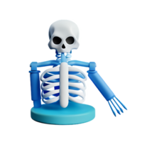 skeleton 3d rendering icon illustration png