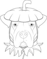 Halloween greeting card for coloring. Argentinian Dogo dog dressed as a pumpkin vector