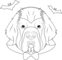 Halloween greeting card for coloring. Newfoundland dog dressed as a vampire with fangs and cape, and a pair of bats flying around vector