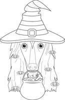Halloween greeting card for coloring. Afghan Hound dog dressed as a witch with black and purple hat, a cauldry in the mouth and spiders falling from the hair vector