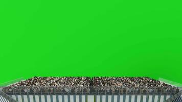 Aerial View Crowd of People Sitting on Stadium Grandstand with Empty Space,Sport 3D Animation on Green Screen video