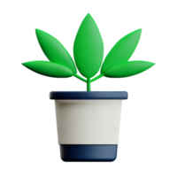 cannabis 3d le rendu icône illustration png