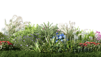 3d le rendu illustration la nature Prairie buisson sur pelouse herbe champ magnifique plante sur blanc Contexte paysage png