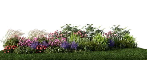 3d interpretazione illustrazione natura prato cespuglio su prato erba campo bellissimo pianta su bianca sfondo paesaggio png