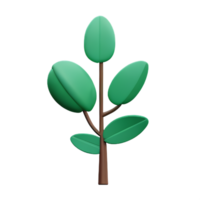 eucalyptus 3d rendering icon illustration png