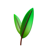 tropical leaves 3d rendering icon illustration png