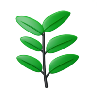 tropical leaves 3d rendering icon illustration png