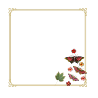 Simple Frame Border PNG transparent background