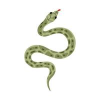 Hand drawn snake clipart. Tropical or Wild West poison viper in the top view. Green dangerous serpent isolated on background. Vector wildlife concept. Jungle or zoo snake slithering with tongue out.