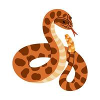 Hand drawn snake with rattle clipart. Jungle or zoo rattlesnake standing in action with tongue out. Tropical or Wild West poison viper in front view. Vector wildlife concept. Green dangerous serpent.