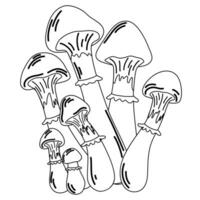 Mushroom contour. Mushroom outline and cartoon vector illustration for kids coloring page and book. Inedible mushroom isolated on white background