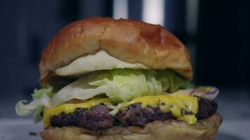 French fries fall onto burger in slow motion video