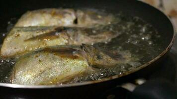 Cocinando pescado en un plano pan video