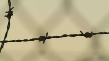 Barbed wire, no entry video