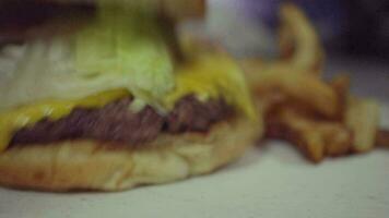 insalubre dieta, hamburguesa con queso y papas fritas video