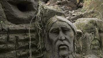 man's face carved in stone covered with moss video